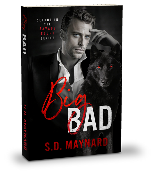 Big Bad paperback