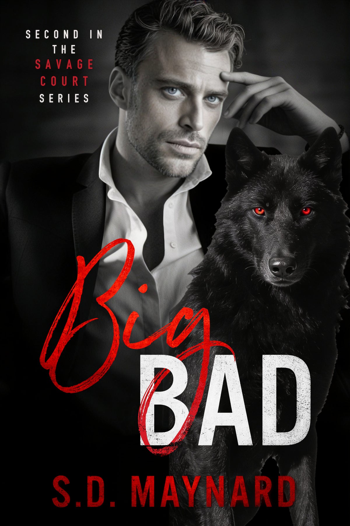 Big Bad by S.D. Maynard, book cover