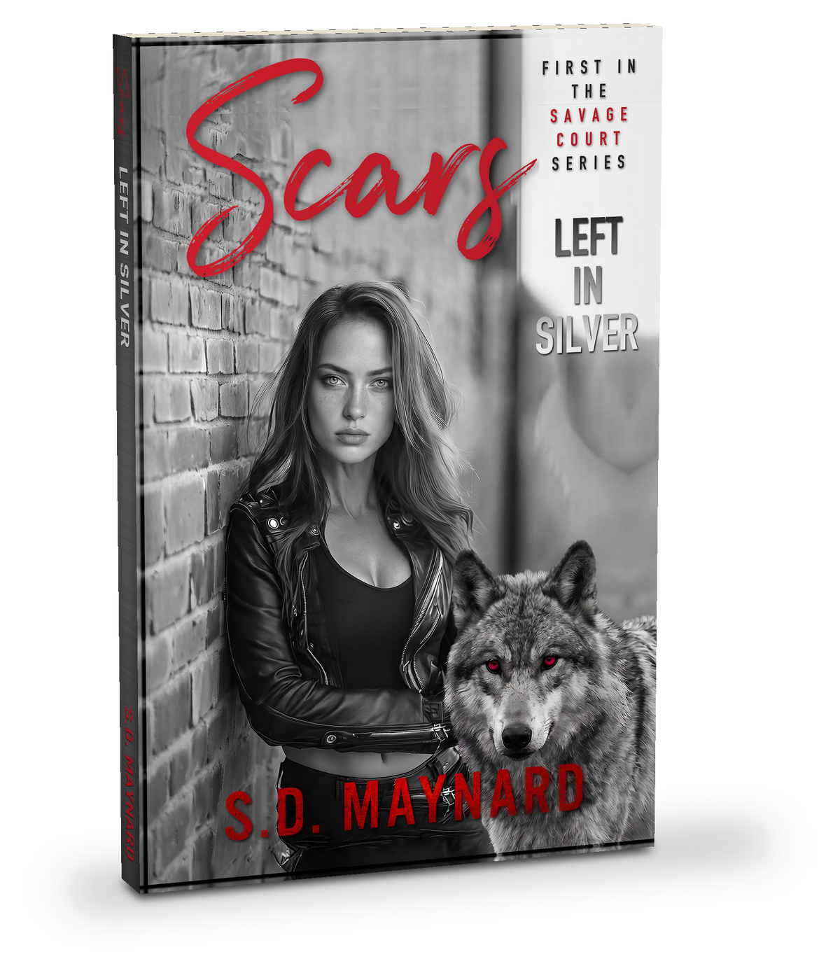 Scars Left in Silver paperback