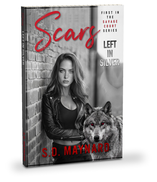 Scars Left in Silver paperback