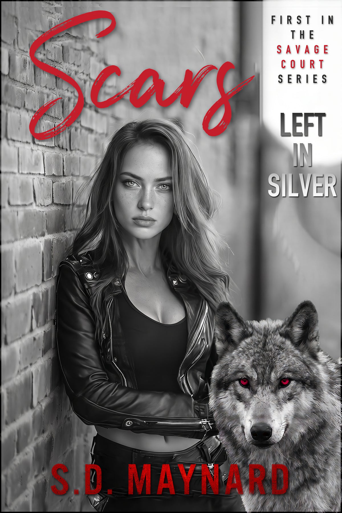 Scars Left in Silver by S.D. Maynard, book cover