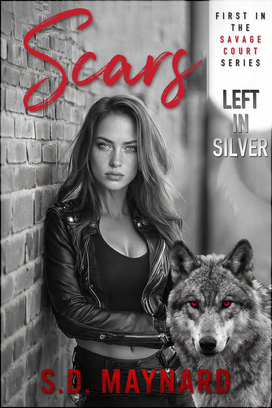 Scars Left in Silver by S.D. Maynard, book cover