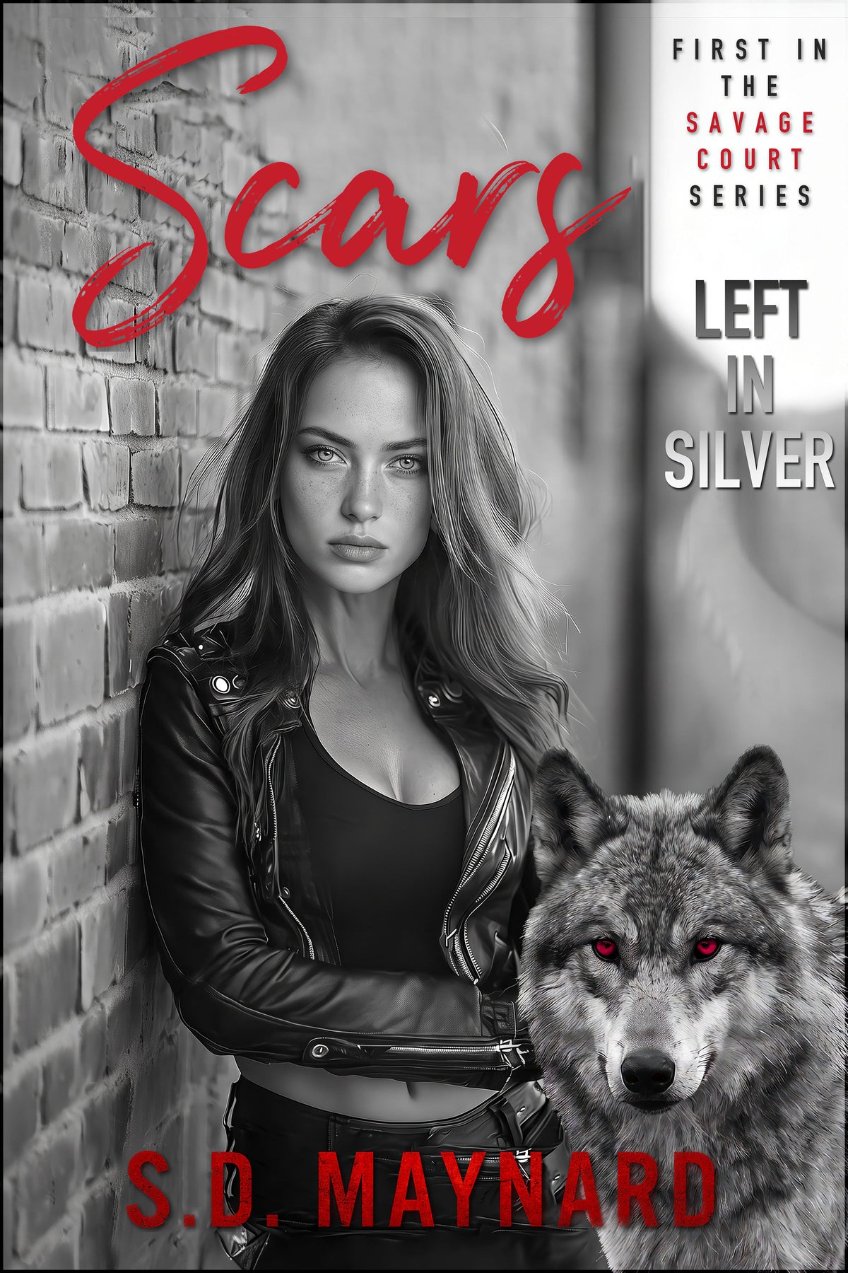 Scars Left in Silver paperback cover