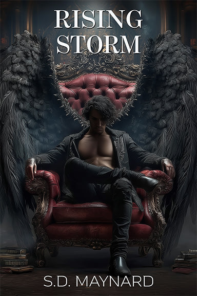 Rising Storm by S.D. Maynard — cover